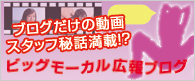 画像：広報ブログ