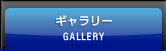ギャラリー 画像:グローバルメニュー