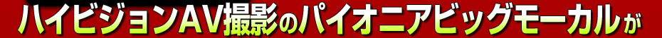 �F�n�C�r�W����AV�B�e�̃p�C�I�j�A�r�b�O���[�J����